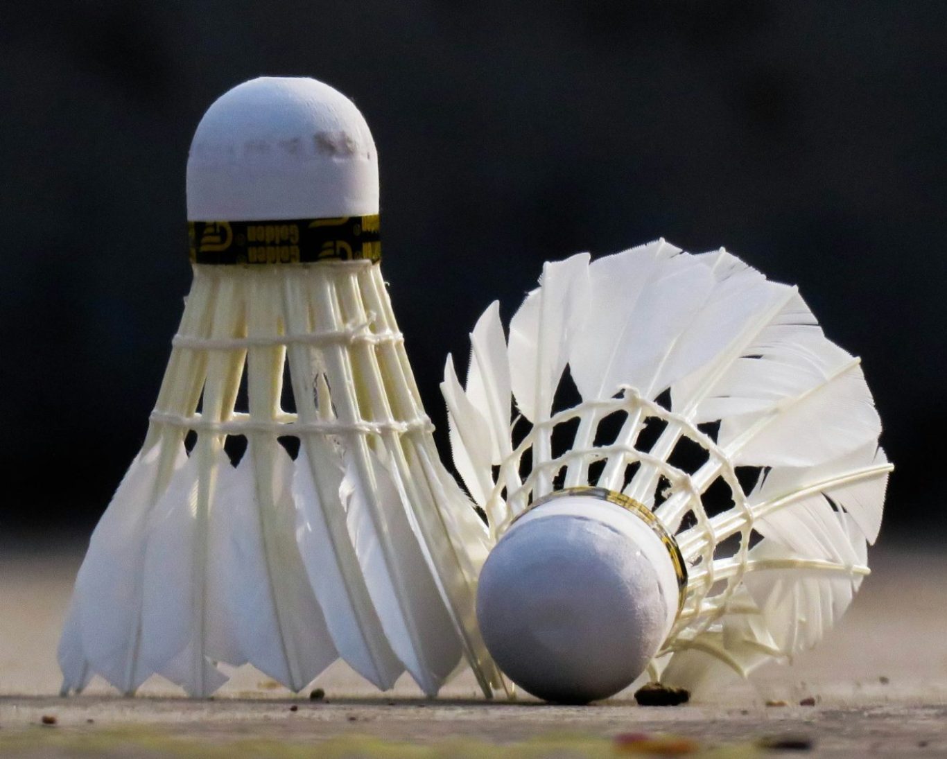 Zwei Federbälle in der Nahaufnahme Zwei Federbälle in der Nahaufnahme vor dunklem Hintergrund auf einem Sporthallenboden.